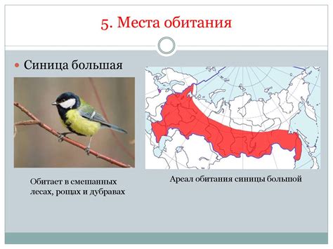 Места обитания главоглазов