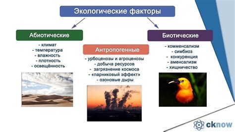 Место обитания и масштаб воздействия