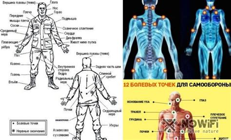 Металл в теле человека: невозможно и опасно