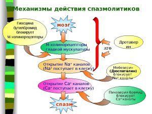 Методы самостоятельного облегчения состояния