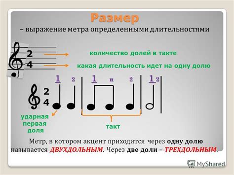 Метр в музыке: определение и функция