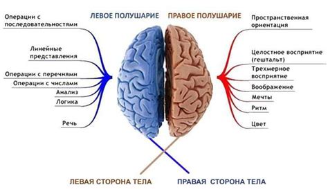 Механизмы депрессии и их влияние на мозг