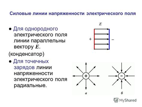 Механизмы поляризации по вектору напряженности электрического поля