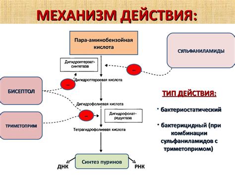 Механизм действия пов коэф хвс б у