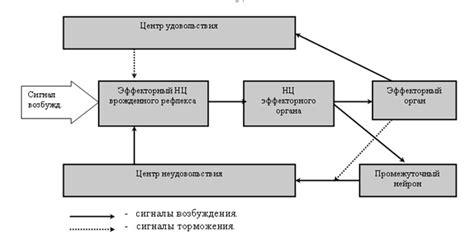 Механизм обратной связи колеса: как он работает