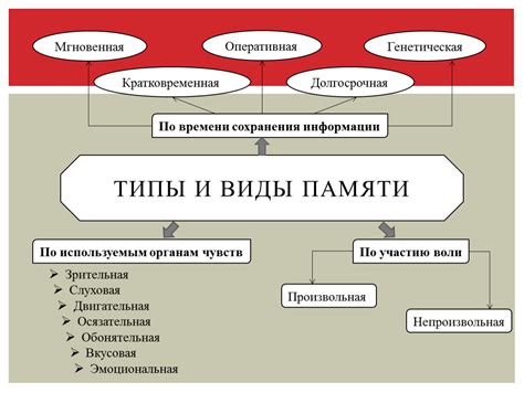 Меценаты и средства сохранения памяти