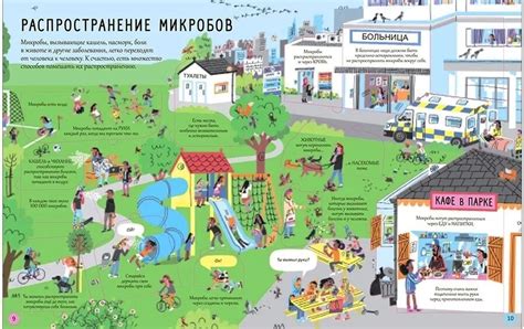 Микробы в культуре: тайны маленьких жителей