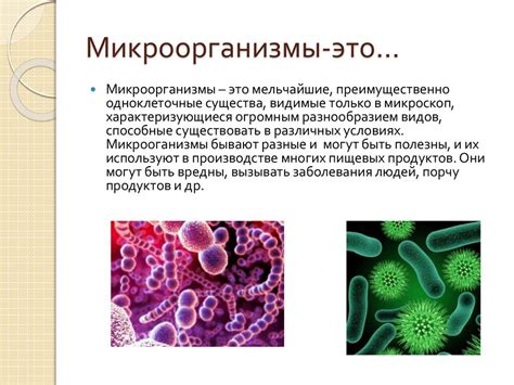 Микроорганизмы и их роль