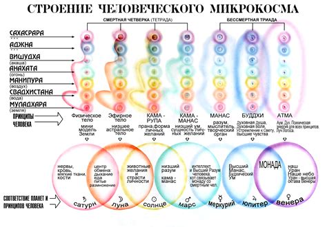 Мир символов: тайны значений сновидений