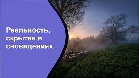 Мистерия, скрытая в доставленных сновидениях