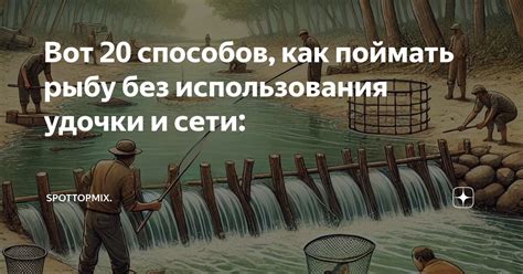 Мистический ритуал поимки щуки без использования удочки и сети