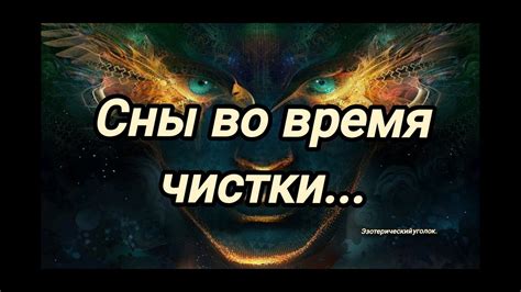 Мистическое значение снов: Загадочный подарок во время ночного путешествия к чему? 