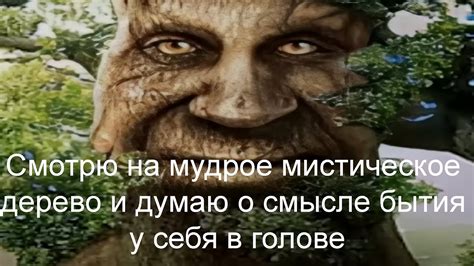 Мистическое значение снов о комедии и величественном изумительном многоглазом автомобиле