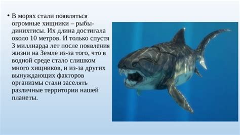 Мистическое пророчество: хищники в водной среде и предшествующие знаки в мире сновидений