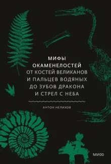 Мифические соответствия снов о завитках на прическе: от водяных до параллелей с Греко-римской богиней