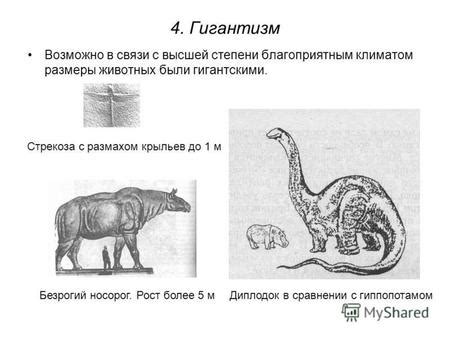 Мифологические и культурные связи, связанные с гигантскими псами