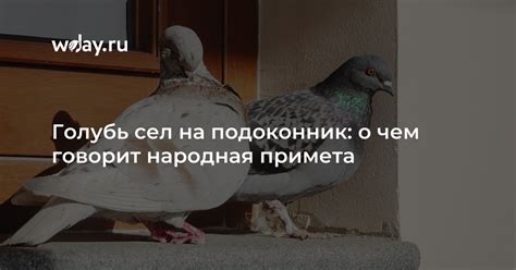 Мифы и суеверия: что говорит народная примета о явлениях во сне