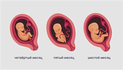 Мифы и суеверия: что говорят о поле ребенка на разных сроках беременности