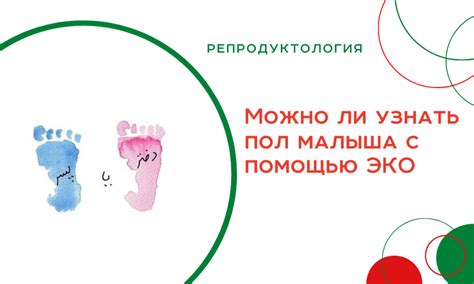 Мифы о возможности выбора пола ребенка