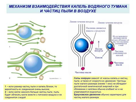 Многообразие микроорганизмов во время осадков, насыщенных частицами пыли