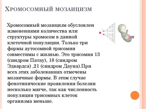 Мозаицизм: причины и особенности