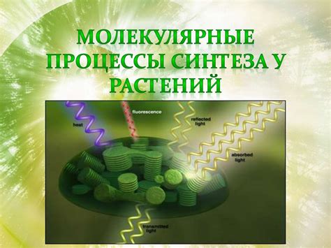 Молекулярные процессы