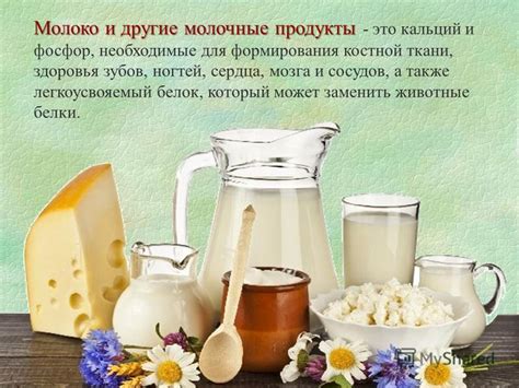 Молочные продукты: белки и кальций для здоровья белок