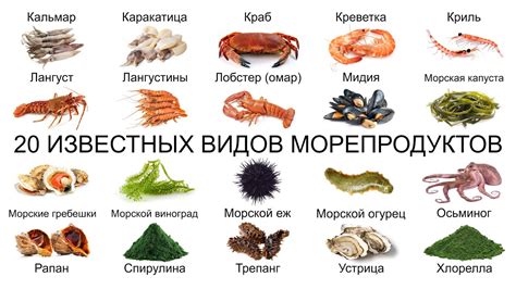 Морепродукты на службе кожи и волос