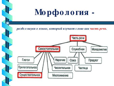 Морфология и структура