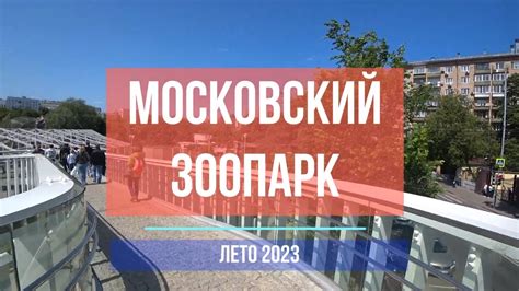 Московский Зоопарк: спокойная прогулка в окружении животных