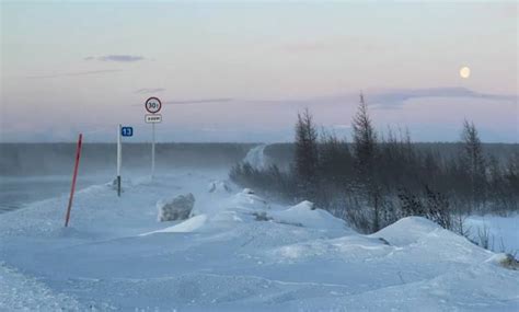 Мрачное и загадочное воют во снах: где скрыты секреты волка?