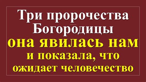 Мудрость и пророчества: тайны, скрытые в сновидениях