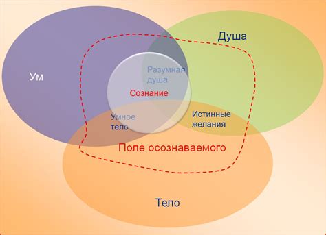 Мужское подсознание: особенности снов