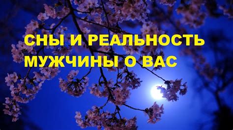 Мужчины, брак и сны: Сокрытый значимость неуспевшихся отношений