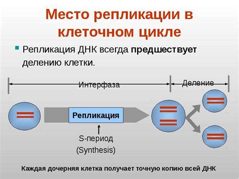 Мутации и триплетность генетического кода