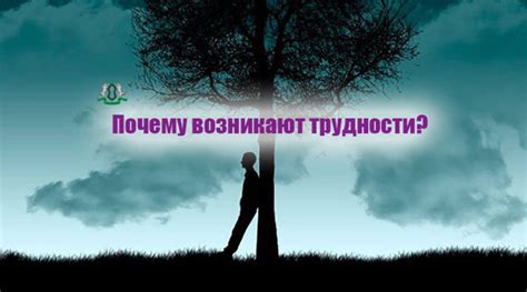 Мягкий звук слез: почему трудности реальной жизни могут отражаться в сновидениях