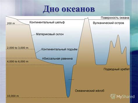 Надежные союзники на борту: друзья из глубин океана