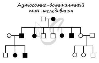 Наименование видов наследования и общие принципы