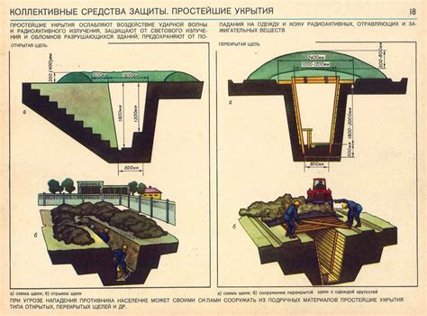 Наличие пищи и укрытия