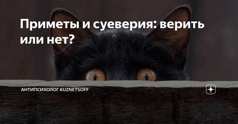 Народные приметы и суеверия: верить или нет?