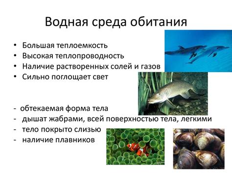 Нарушение баланса в водной среде