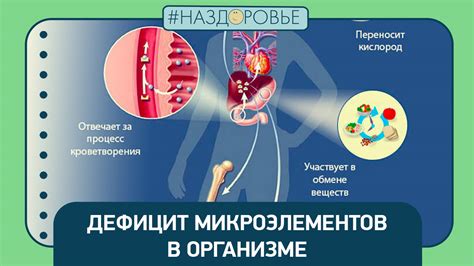 Нарушение баланса микроэлементов в организме