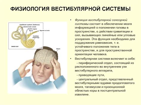 Нарушение равновесия и функционирование вестибулярной системы