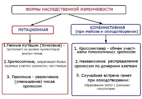 Наследственность и обучение