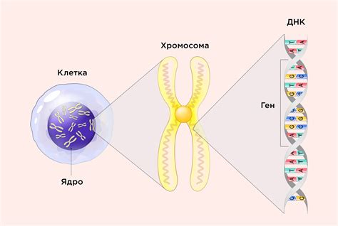 Наследственность титулов