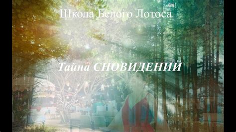 Научная трактовка сновидений с насекомыми: психологический и символический анализ