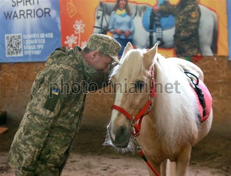 Научное объяснение стимуляции лошадью во время сна