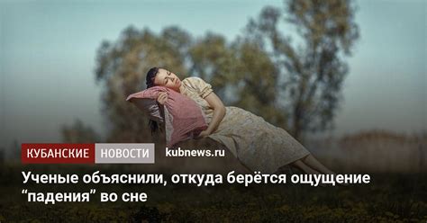 Научное объяснение явления отделывания обоев во сне