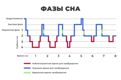 Научные исследования: связь между физической активностью и качеством сна