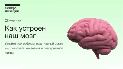 Наш мозг - аэропорт фантазий: реальный путь или воображаемое времяпрепровождение?